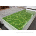 /msite/products/detail/productid/57004634/id/666344.html